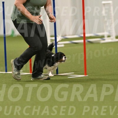 Theo-Amy-Jeske-08530