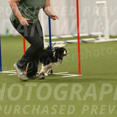 Theo-Amy-Jeske-08531