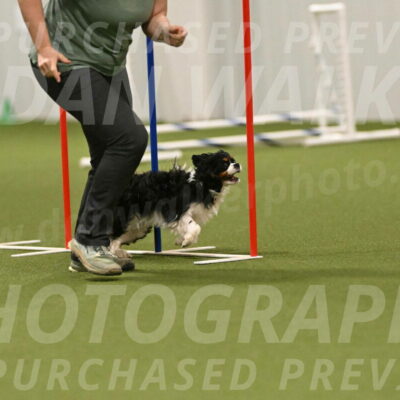 Theo-Amy-Jeske-08532