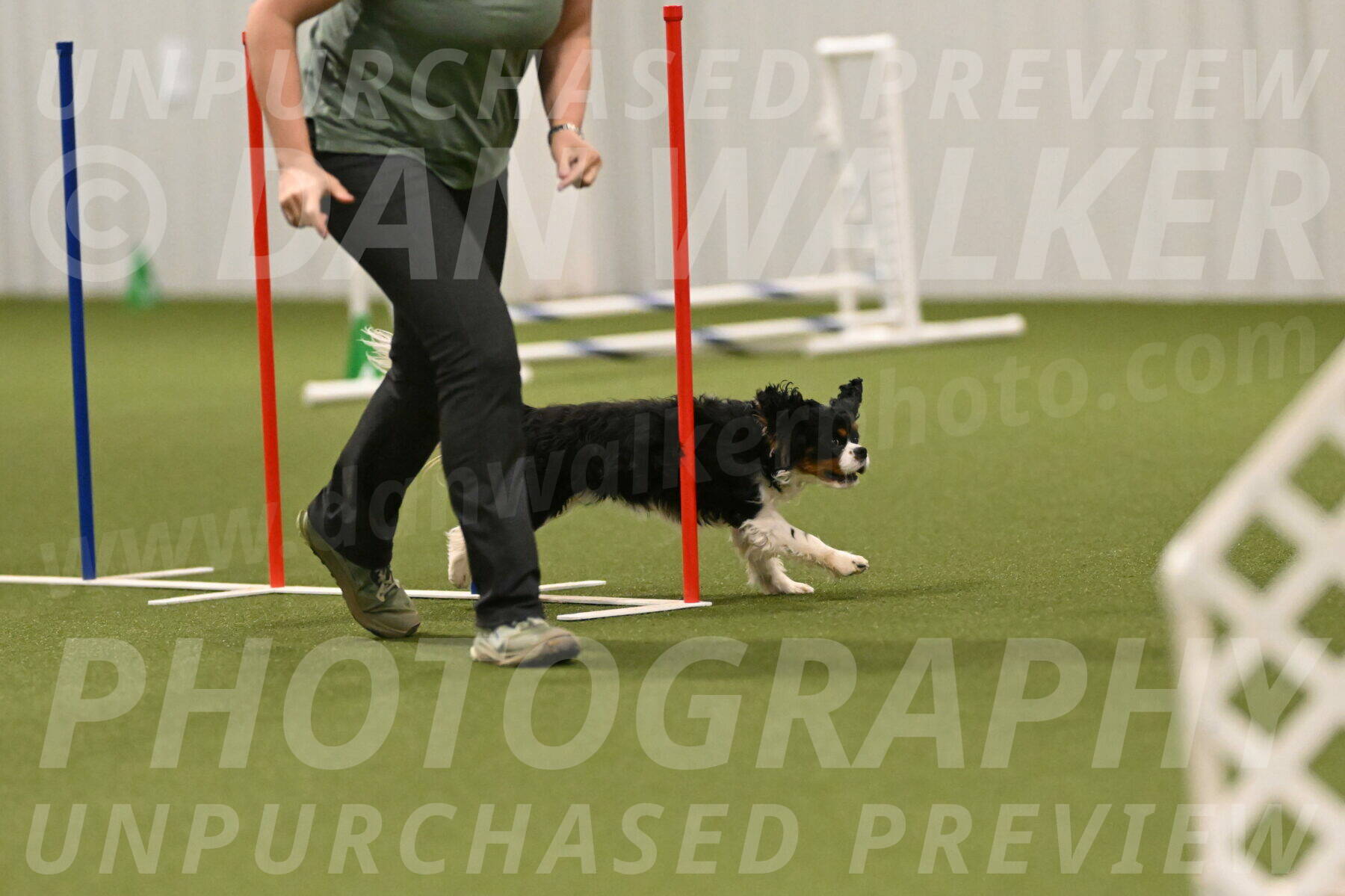 Theo-Amy-Jeske-08533