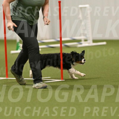 Theo-Amy-Jeske-08533