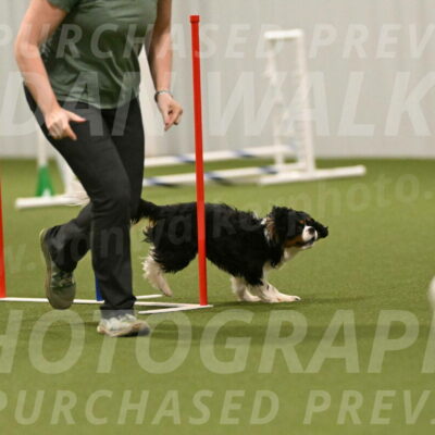 Theo-Amy-Jeske-08534