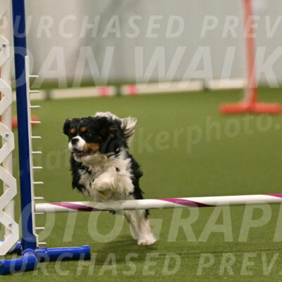 Theo-Amy-Jeske-08535