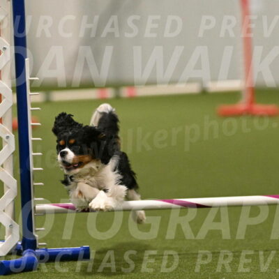 Theo-Amy-Jeske-08536