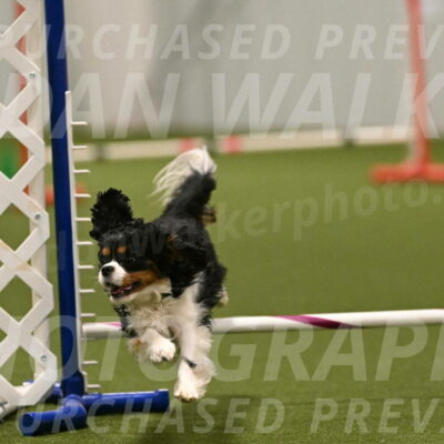 Theo-Amy-Jeske-08537