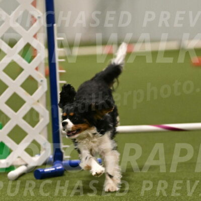 Theo-Amy-Jeske-08538