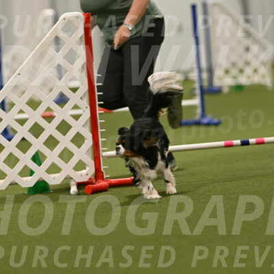 Theo-Amy-Jeske-08539