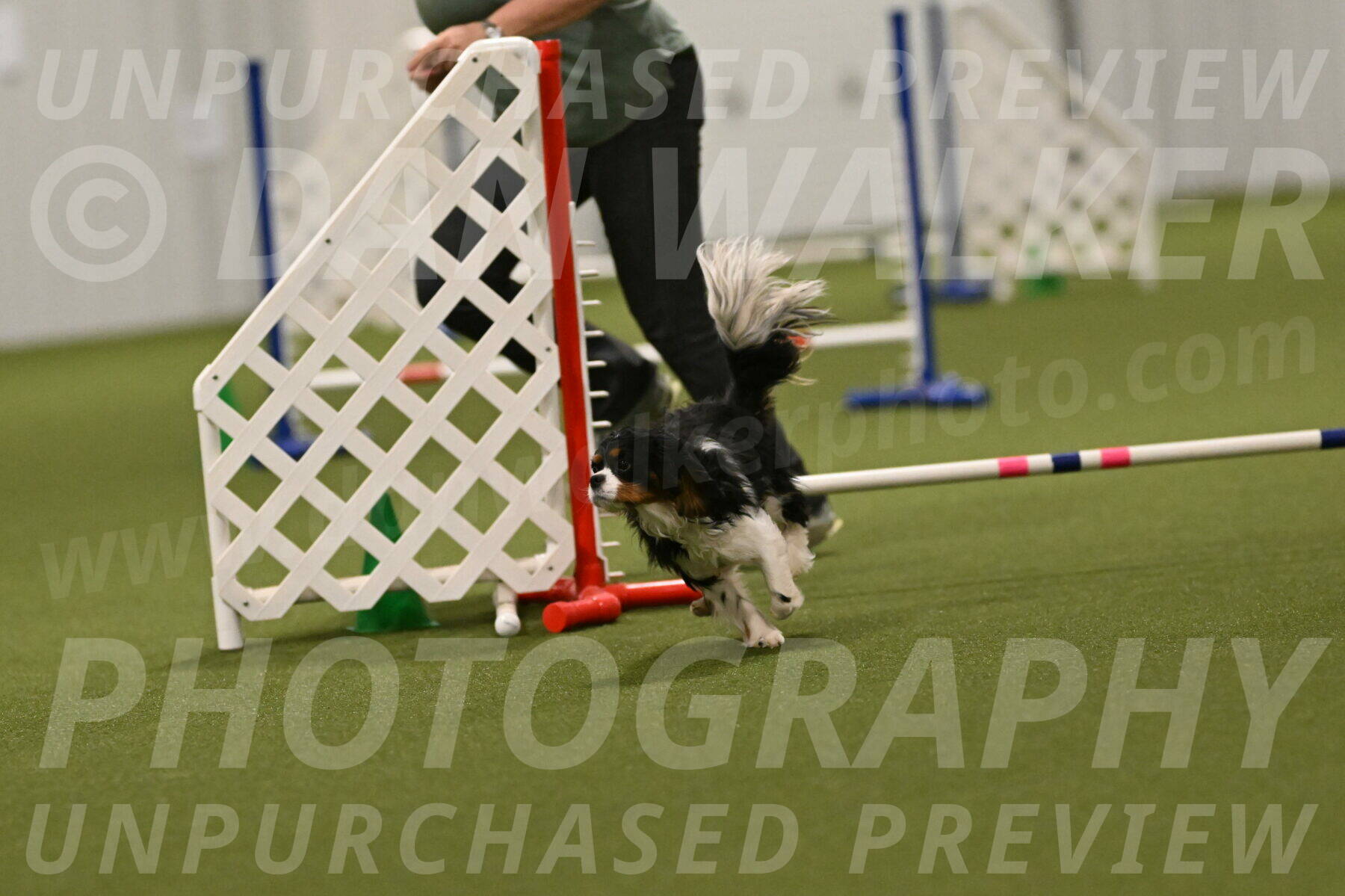 Theo-Amy-Jeske-08540