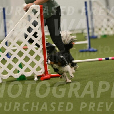 Theo-Amy-Jeske-08540