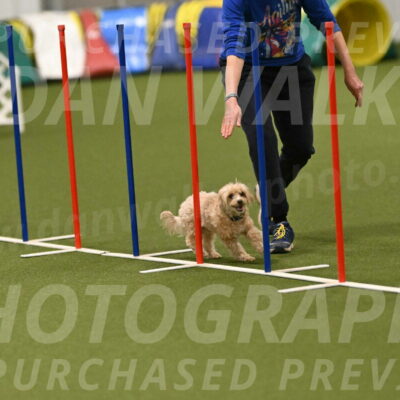 Theo-Gaynor-Ibbotson-06901