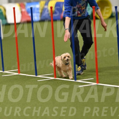 Theo-Gaynor-Ibbotson-06902