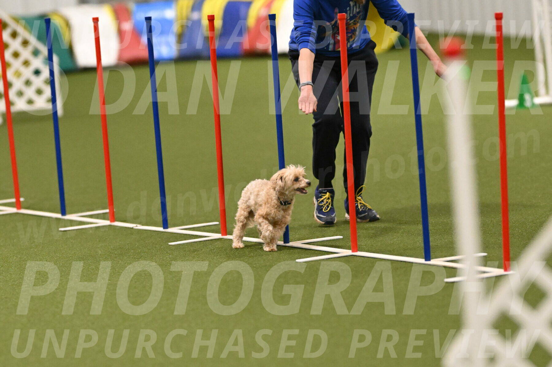 Theo-Gaynor-Ibbotson-06904