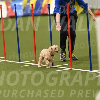 Theo-Gaynor-Ibbotson-06904