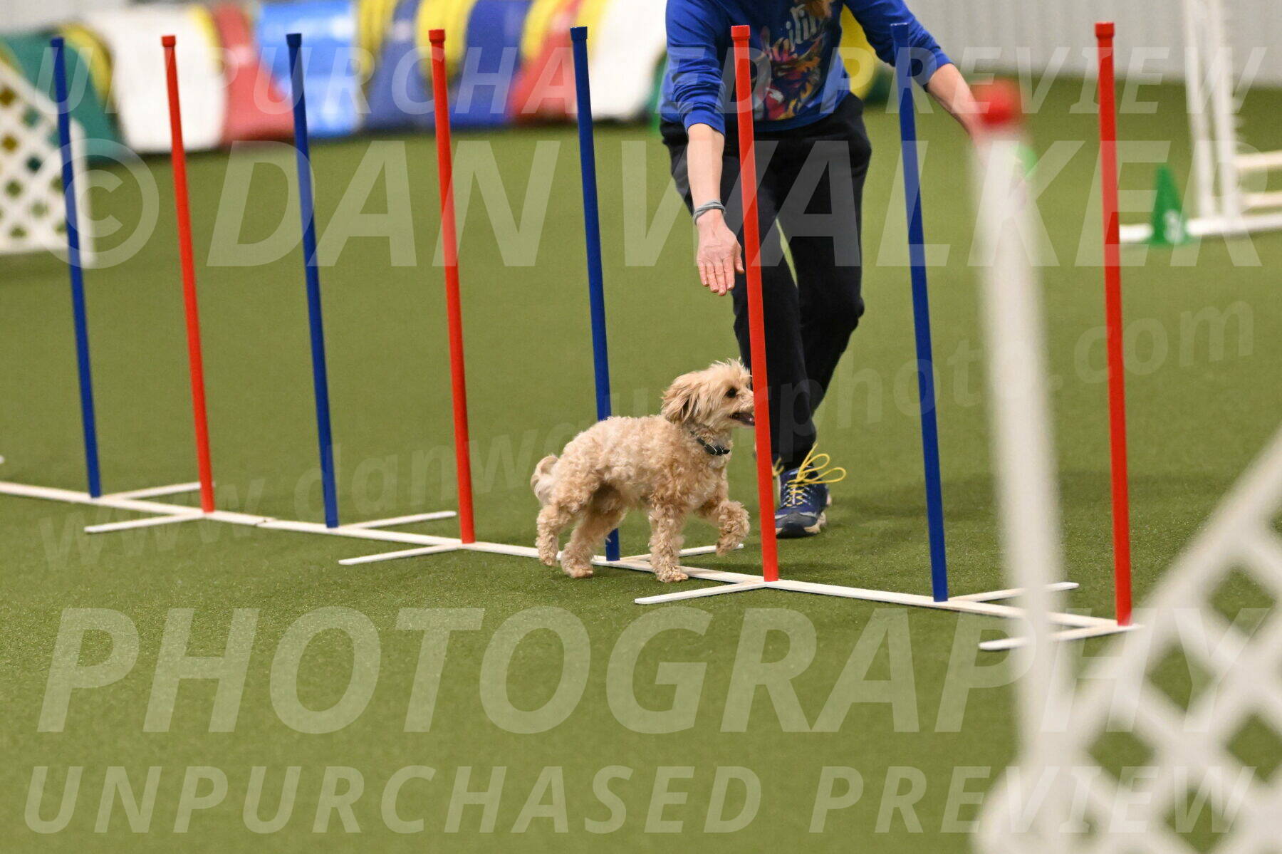 Theo-Gaynor-Ibbotson-06905
