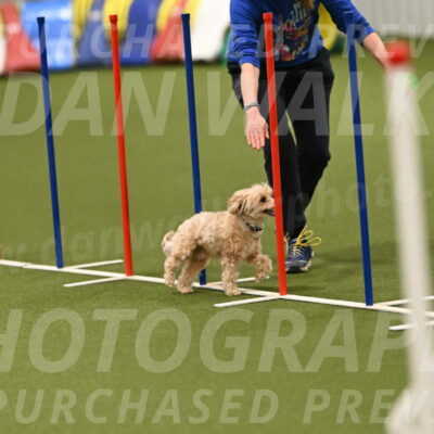 Theo-Gaynor-Ibbotson-06905