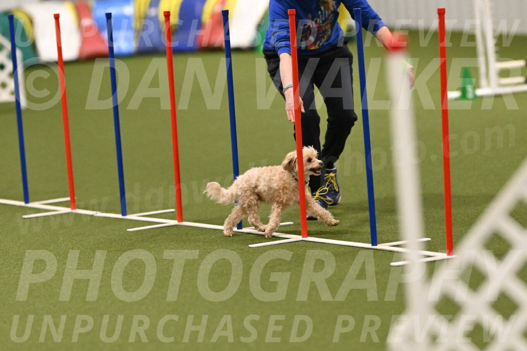 Theo-Gaynor-Ibbotson-06906