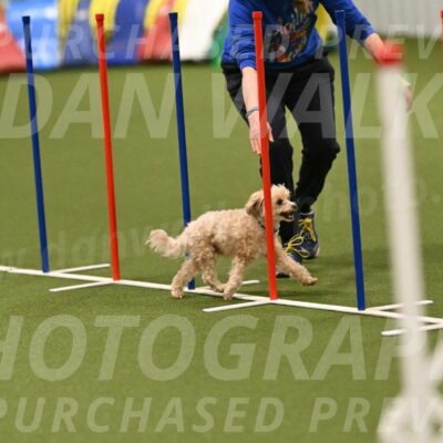 Theo-Gaynor-Ibbotson-06906