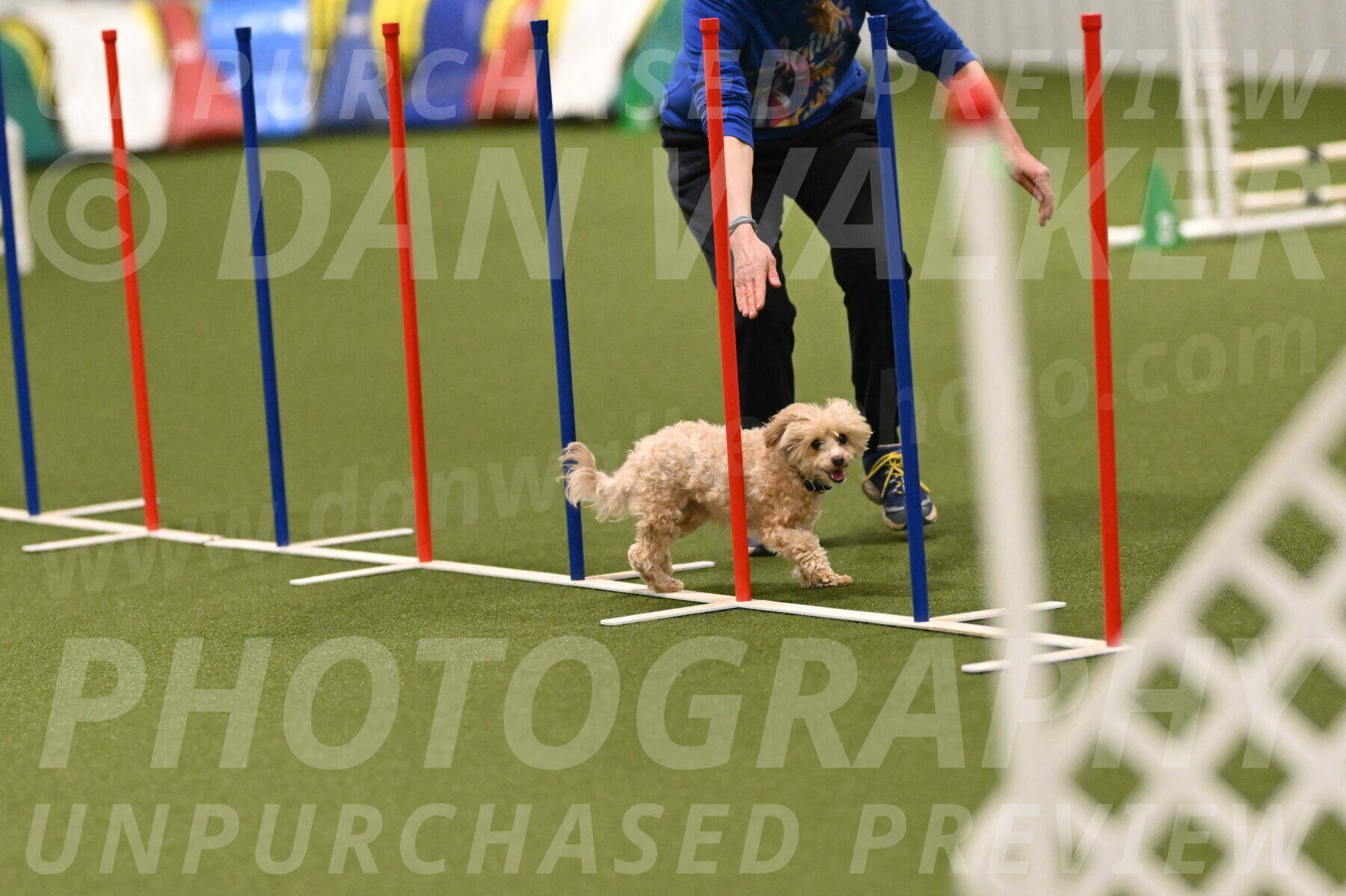 Theo-Gaynor-Ibbotson-06907