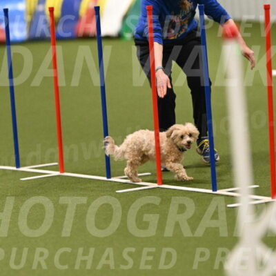 Theo-Gaynor-Ibbotson-06907