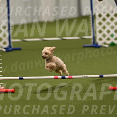 Theo-Gaynor-Ibbotson-06914