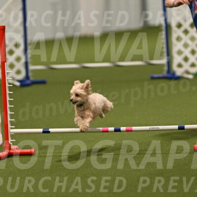 Theo-Gaynor-Ibbotson-06915