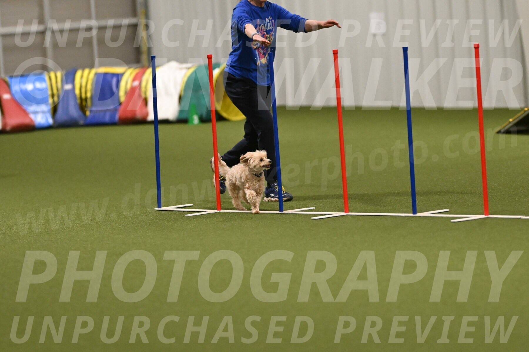 Theo-Gaynor-Ibbotson-06917