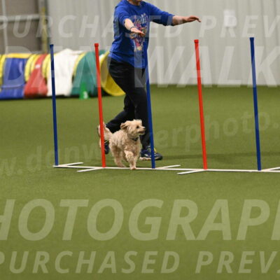 Theo-Gaynor-Ibbotson-06917