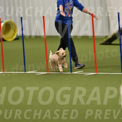 Theo-Gaynor-Ibbotson-06918
