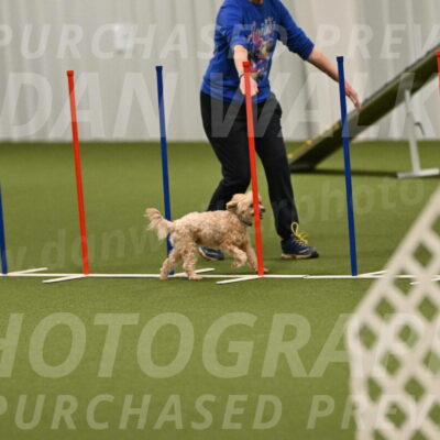Theo-Gaynor-Ibbotson-06919