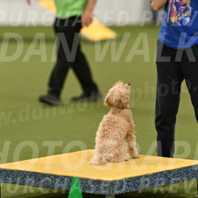 Theo-Gaynor-Ibbotson-06922