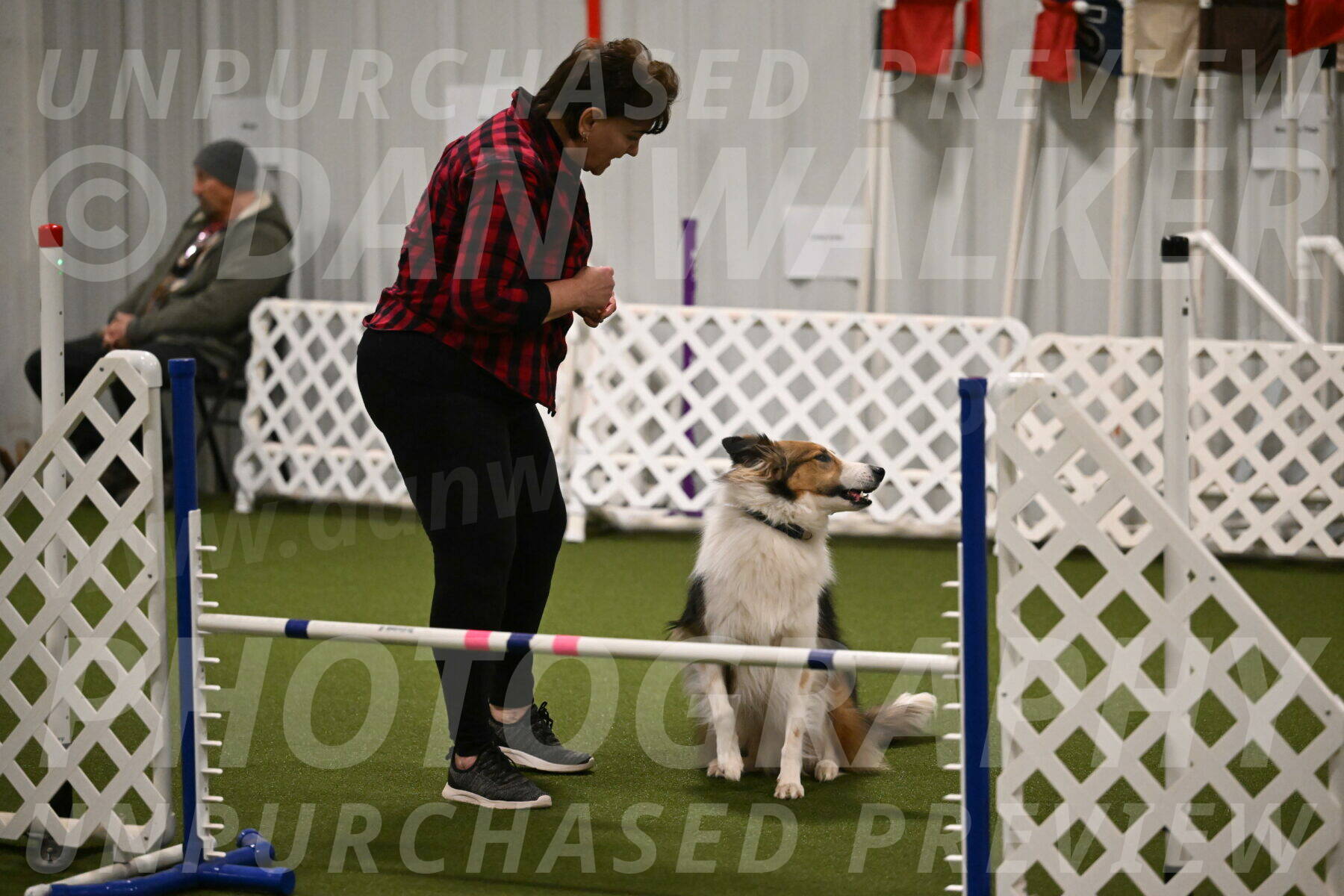 Timber-Maggie-Paskawych-02497