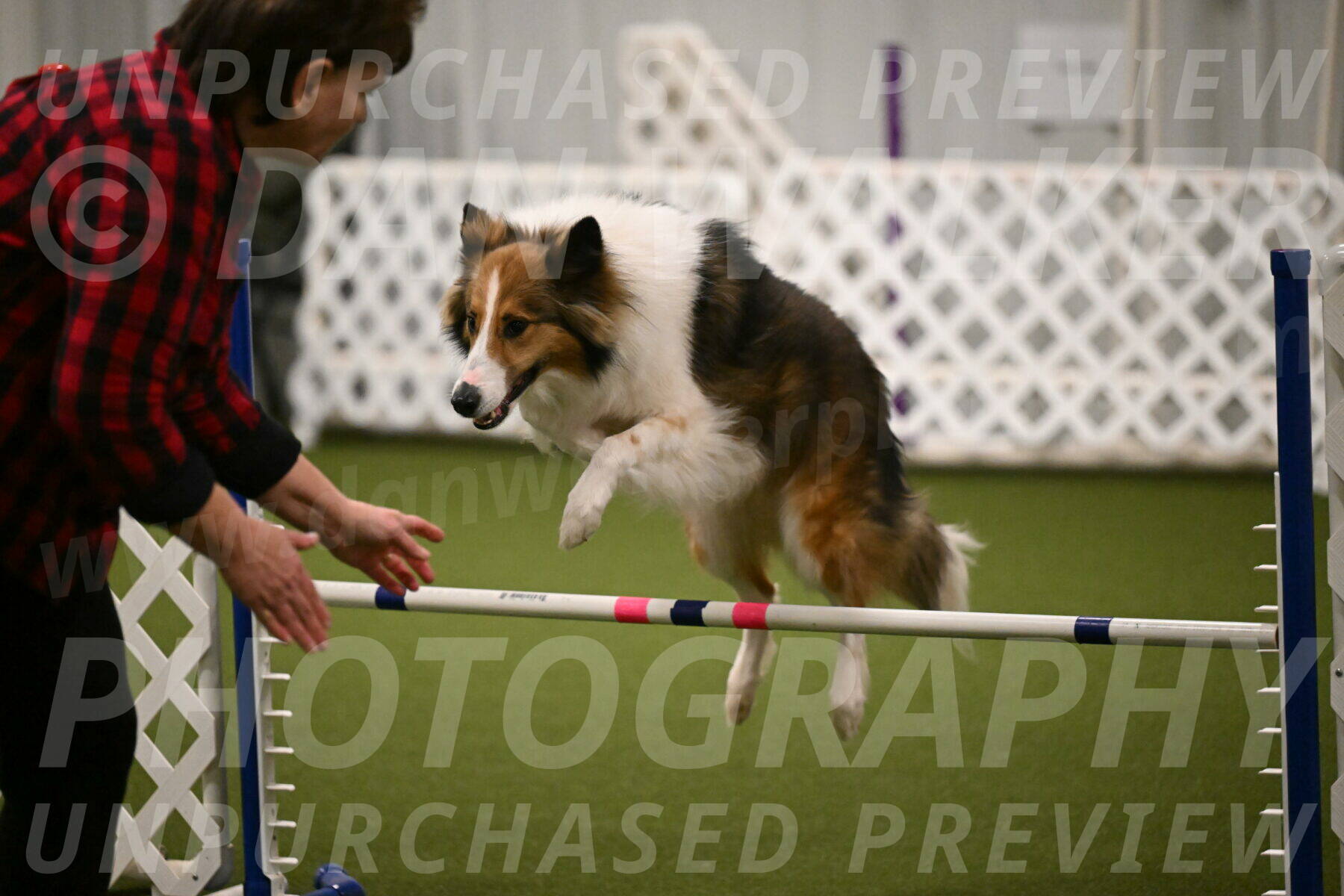 Timber-Maggie-Paskawych-02498