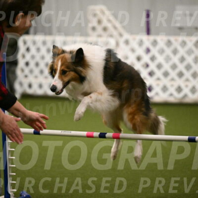 Timber-Maggie-Paskawych-02498