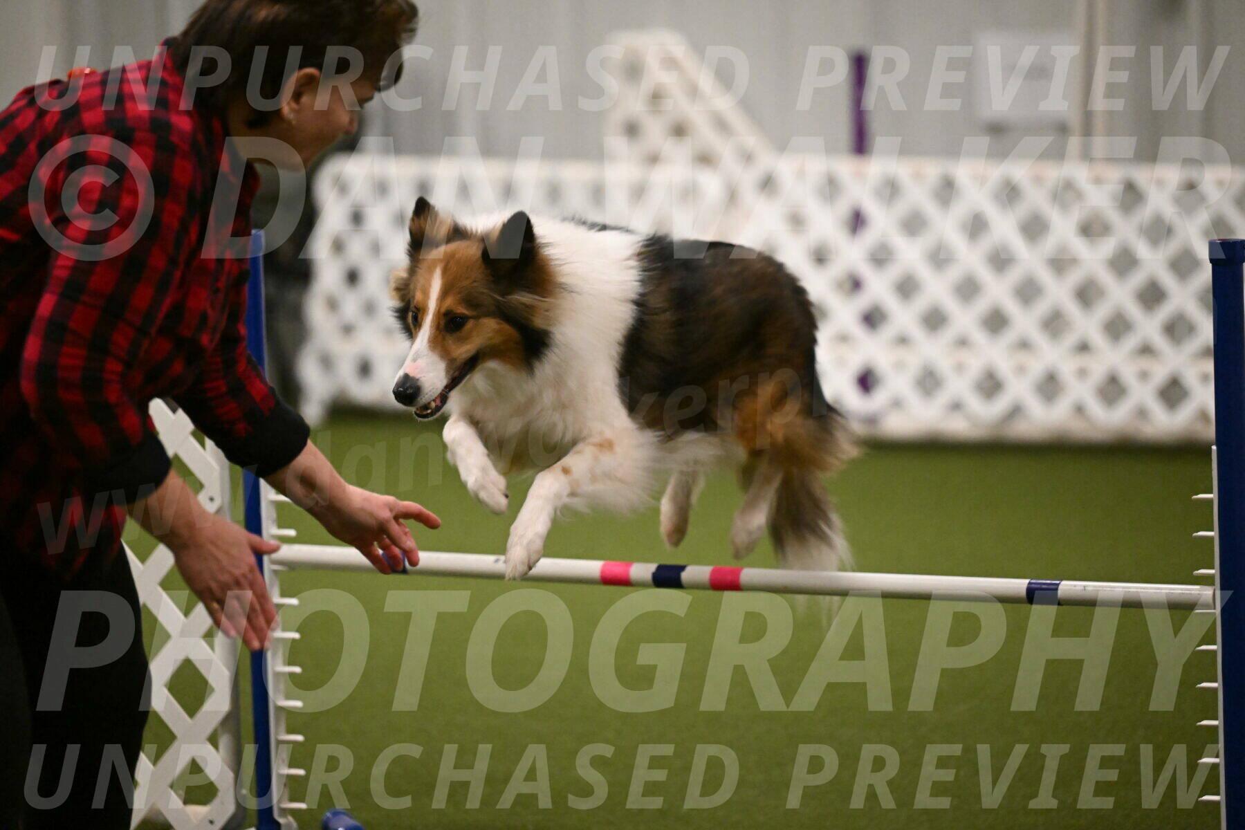 Timber-Maggie-Paskawych-02499