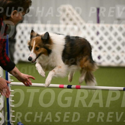 Timber-Maggie-Paskawych-02499