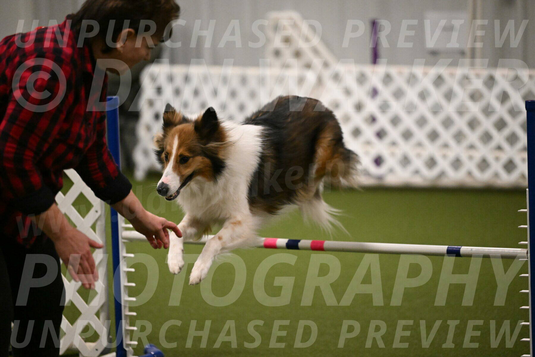 Timber-Maggie-Paskawych-02500