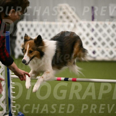 Timber-Maggie-Paskawych-02500