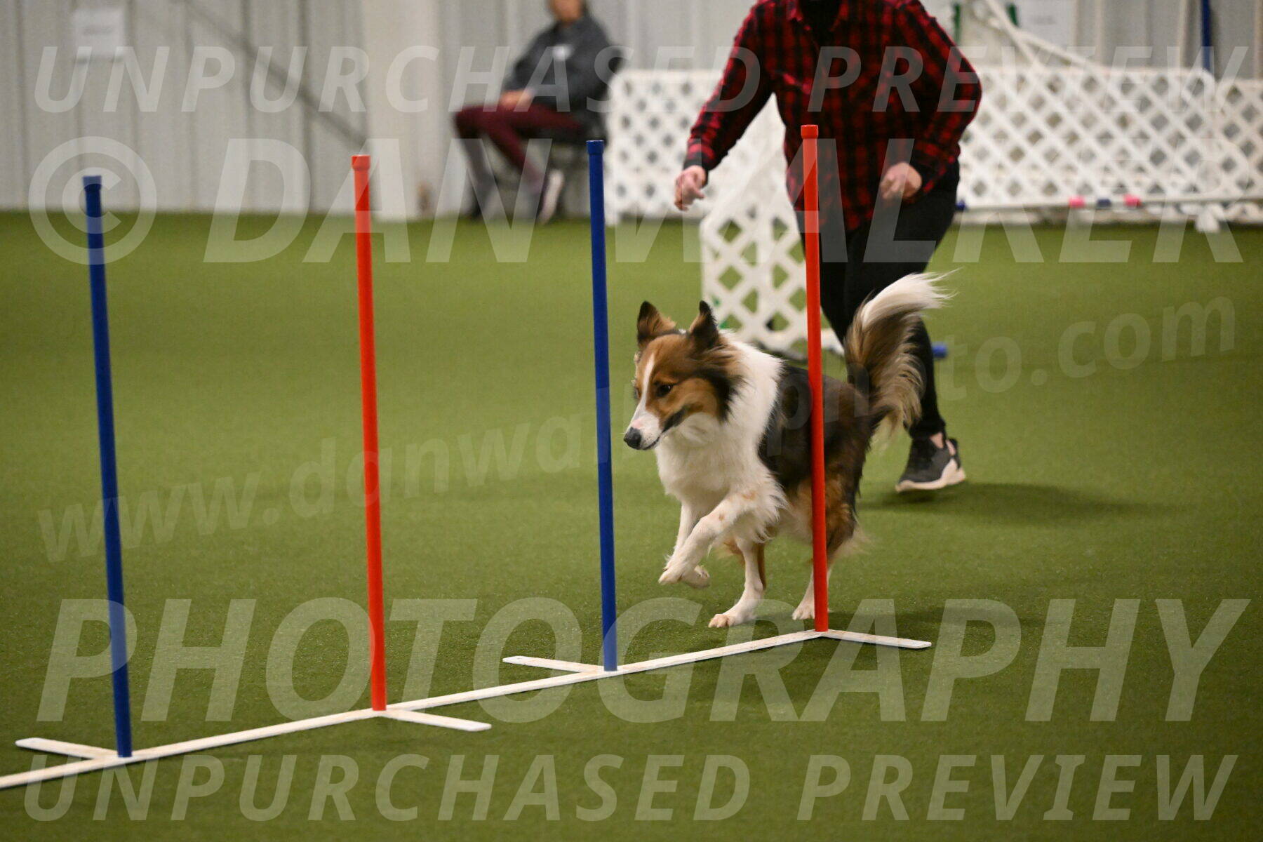 Timber-Maggie-Paskawych-02501