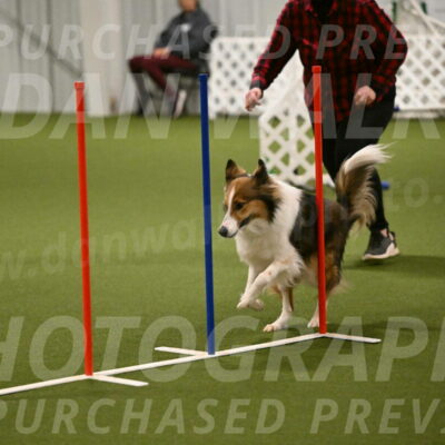 Timber-Maggie-Paskawych-02501