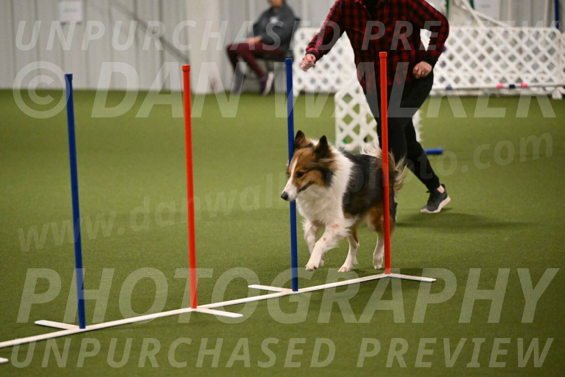 Timber-Maggie-Paskawych-02502