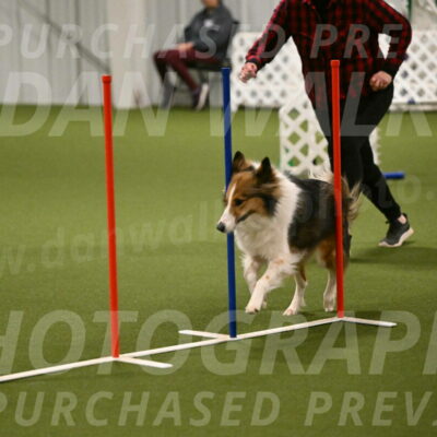 Timber-Maggie-Paskawych-02502