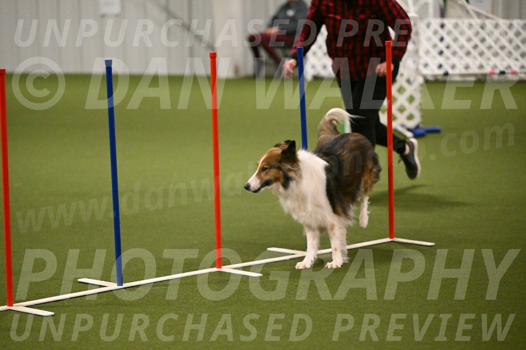 Timber-Maggie-Paskawych-02503