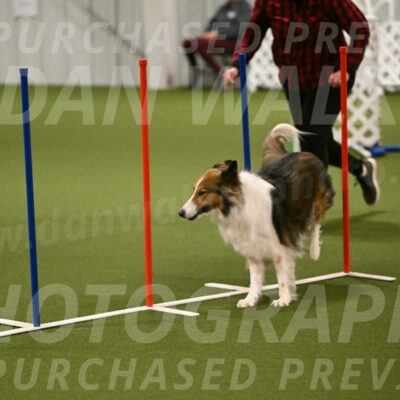 Timber-Maggie-Paskawych-02503