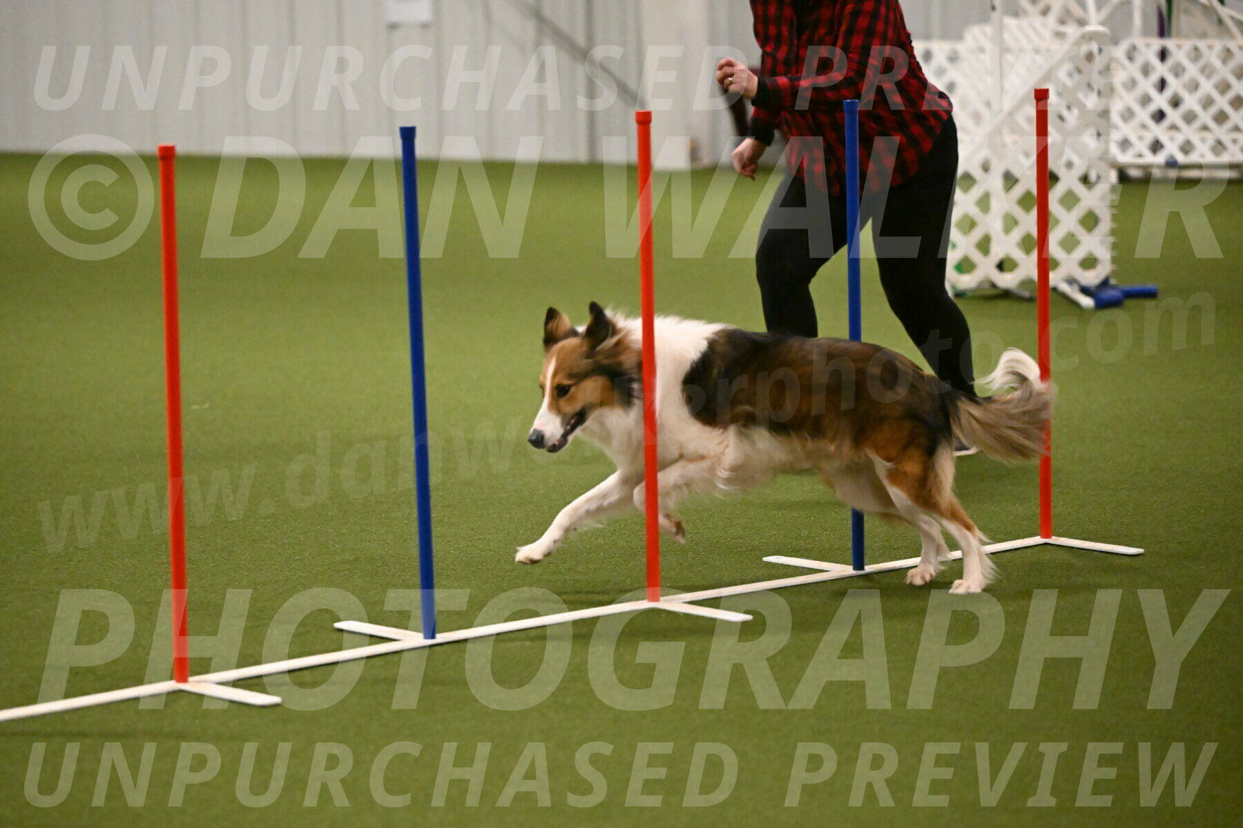 Timber-Maggie-Paskawych-02504