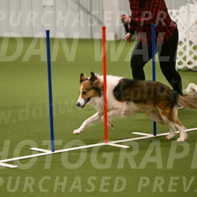 Timber-Maggie-Paskawych-02504