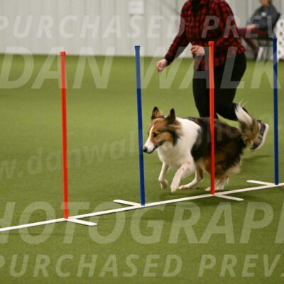 Timber-Maggie-Paskawych-02505