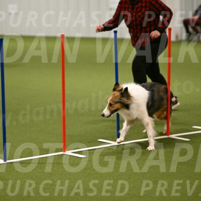 Timber-Maggie-Paskawych-02506