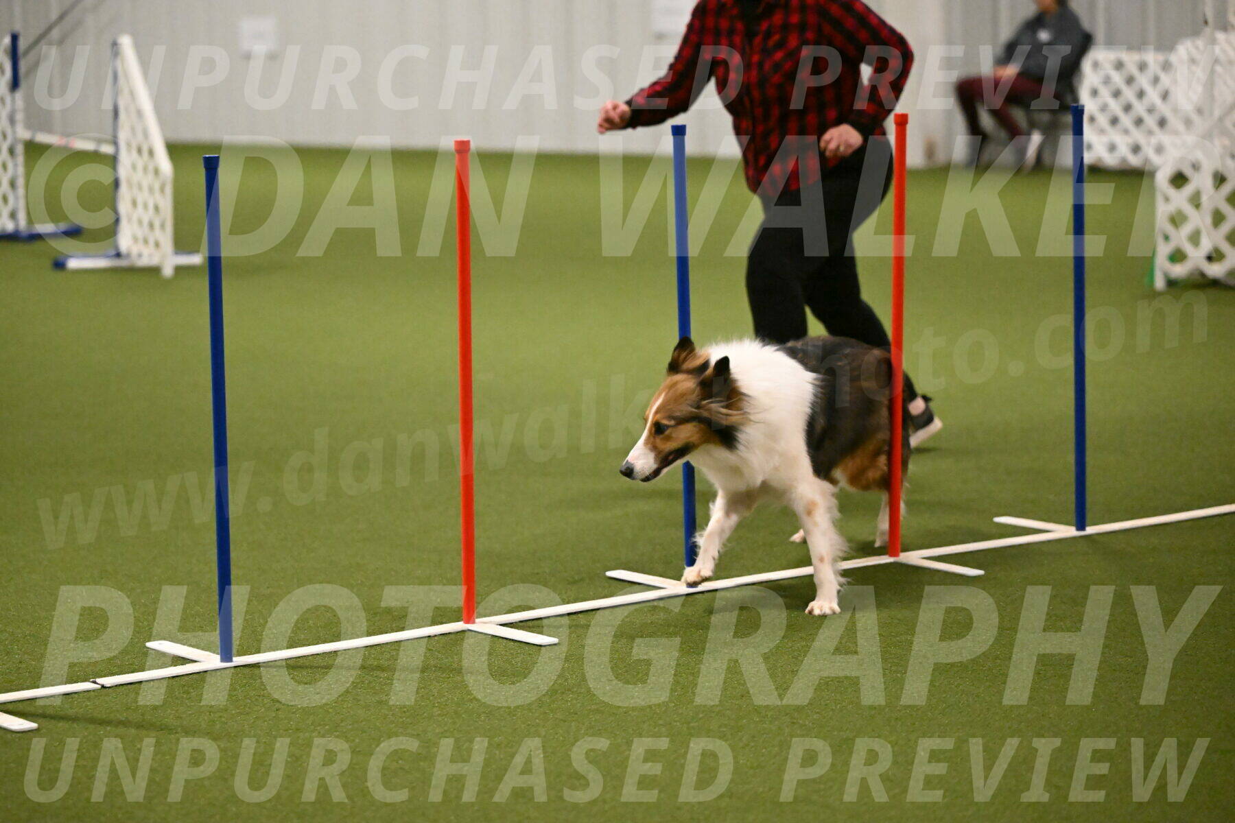 Timber-Maggie-Paskawych-02506