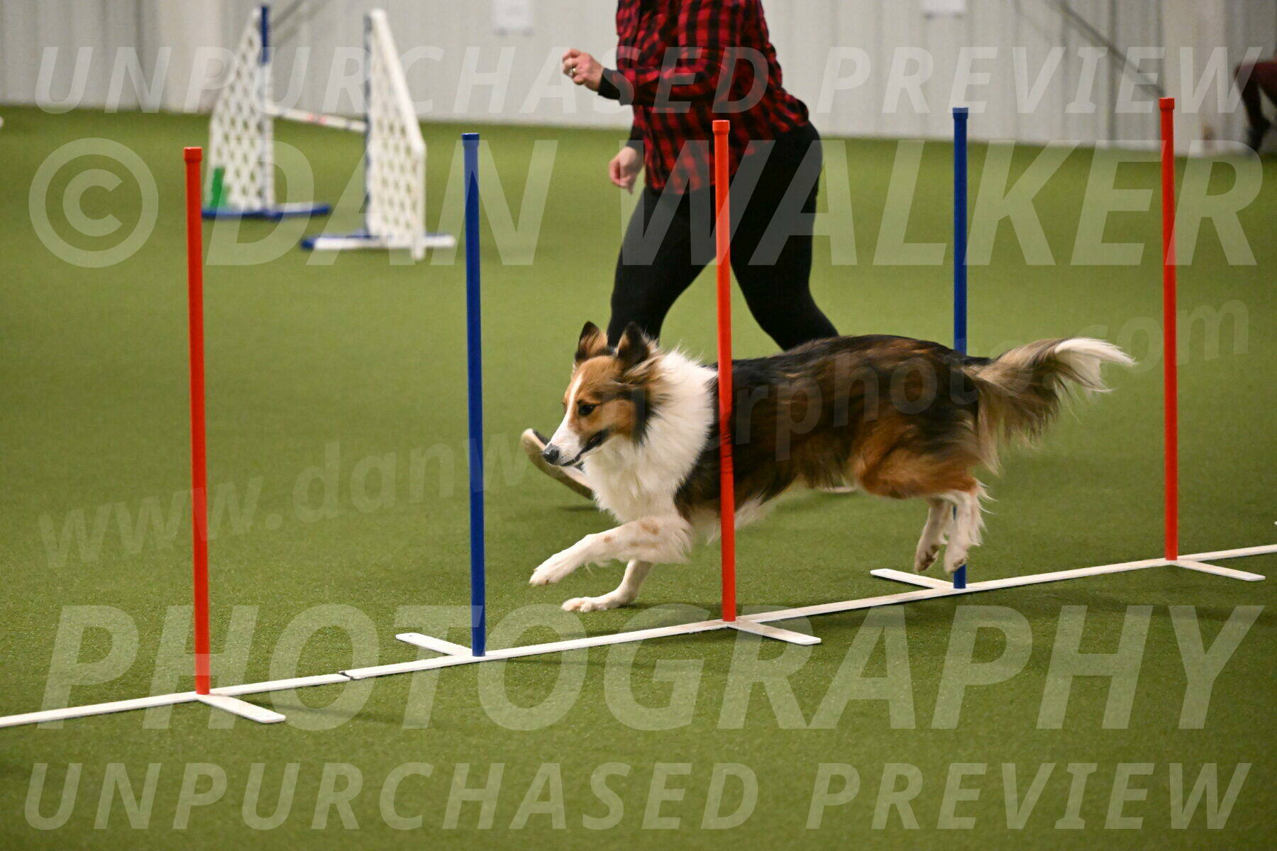 Timber-Maggie-Paskawych-02507