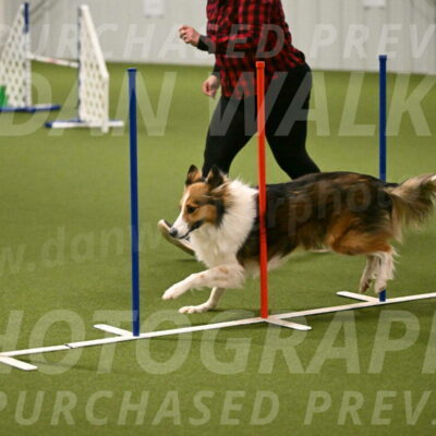 Timber-Maggie-Paskawych-02507